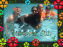 Summer!