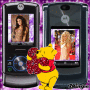 cherry1234567812345678