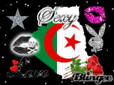vive l'algerie