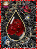 Roses mistic 