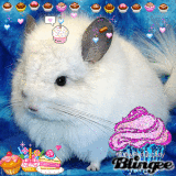 So sweet !