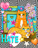 cat's don't hate