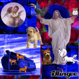 Collage of Noah's Ark