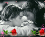 titanic lovers