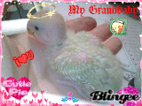 Boychick @ 2 Weeks Old!