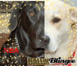 Bear and Max 