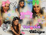 vanessa