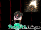 disco diva