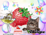 Sweets
