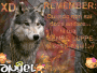 XD REMEMBER