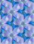 FlowersFlowers
