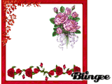 Kit de roses
