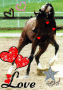 Cheval