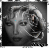 beau visage