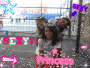 mis amiguis