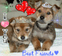 Best friends as dogs