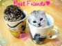 Süße Cats