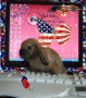 Happy 4th of July