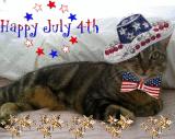 Happy 4th of July Kitty