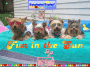 Keep'n Cool in the Pool