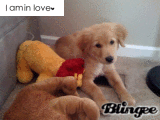 Blingee