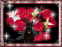Rose rouge