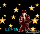 Elvis gold stars