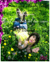 Area 53:Bolle.