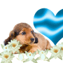 test test