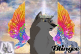 angel wolf