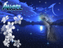 moonlight moonlight