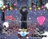 anime love