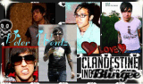 The one and olny pete Wentz The one and olny pete Wentz