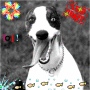 chien fou