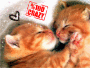 cherry94kiss