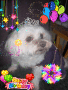 Kayde Birthday
