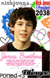 beautiful jonas