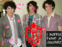 we <3 the jonas brothers