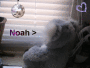 Noah