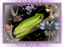 frog with fairies frog with fairies