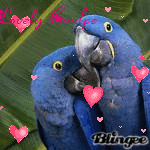 lovely couple