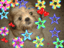 fluffery