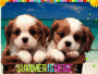 Summer Puppies!