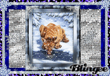 Winter Wonderland #2