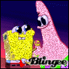 Spongi