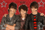 The Jonas Brothers
