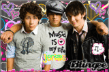the jonas brothers