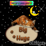 chat