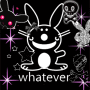 bunny
