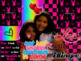 NOT JUST SISTERS PARTNERS IN CRIME